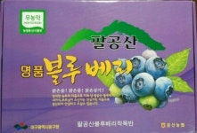 팔공블루베리농원