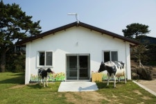 지헌목장