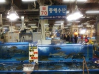 강서수협 동해수산