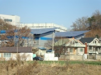 해빛