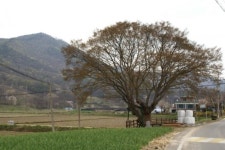 인다락 마을