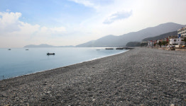 거제도소나무향기낚시펜션