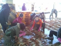 상진호식당