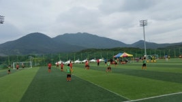 대청공인중개사사무소