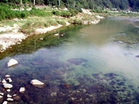 다리목황토민박