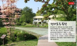 풀빛펜션