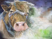 영주피카소미술