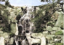 태산조경