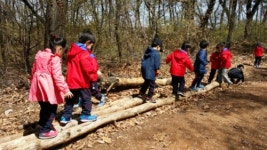 수피아유치원