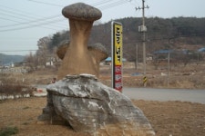 들녘