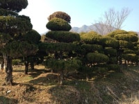 광산22농원