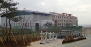 양진중학교