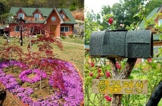 들꽃펜션