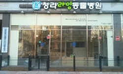 청라라임동물병원