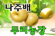 나주배두리농원