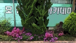 모던골프아카데미