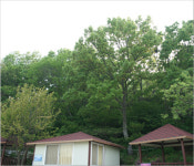 착한민박