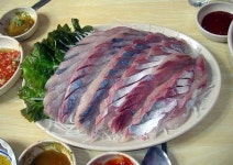 삼천포활어회집