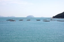 청산도 들꽃민박