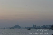 장항항