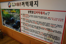 보물촌꺼먹돼지 화성점