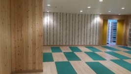 닥터짐