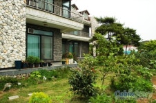 소나무가있는풍경