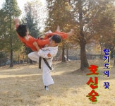 대한합기도 숭무관 연수본관