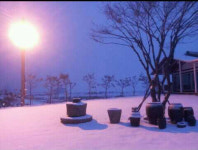 인천 강화 바다정원 가족 오션뷰 펜션