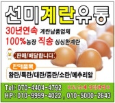 선미계란유통