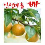 태호농장