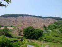 서우임산