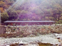 긴집민박