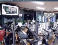 돌고래 헬스클럽