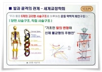 라파엘헬스라이프라파엘자연치유연구소 | 라파치유센터