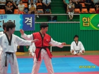 신나는하늘땅태권도