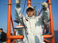 금성호민박