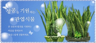 대전현플라워