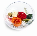 월드프리저브드플라워협회