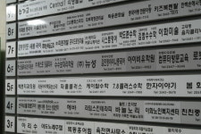 아이비유학