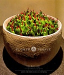 농업회사법인 꽃과사람