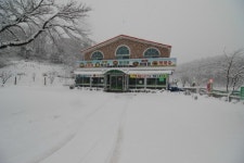 순두부마을식당