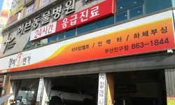 정비일번가 부산진구점