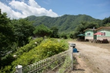 산울타리쉼터