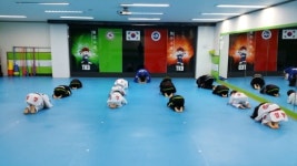 국가대표열정태권도&음악줄넘기