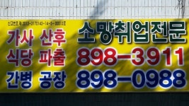 소망직업소개소