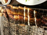 힘찬장어