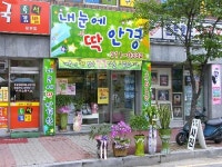 내눈에 딱 안경