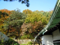 화정한옥민박