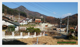 토박이부동산중개사무소